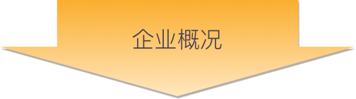 企业概况